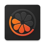 mandarin android application logo